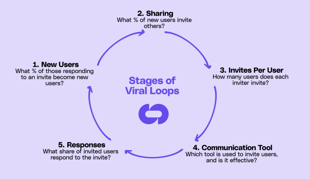 The stages of viral loops
