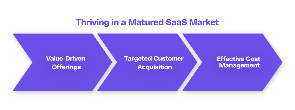 how to succeed in a matured saas market