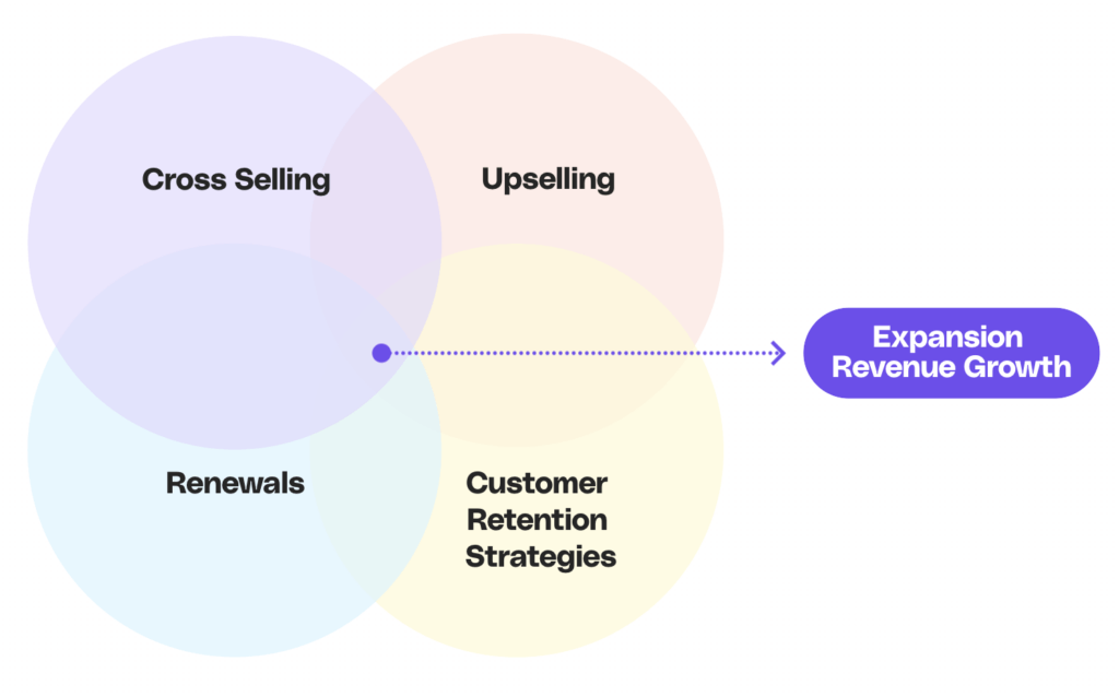 Components of increased revenue from expansion.