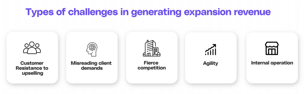 Types of challenges in generating expansion revenue.