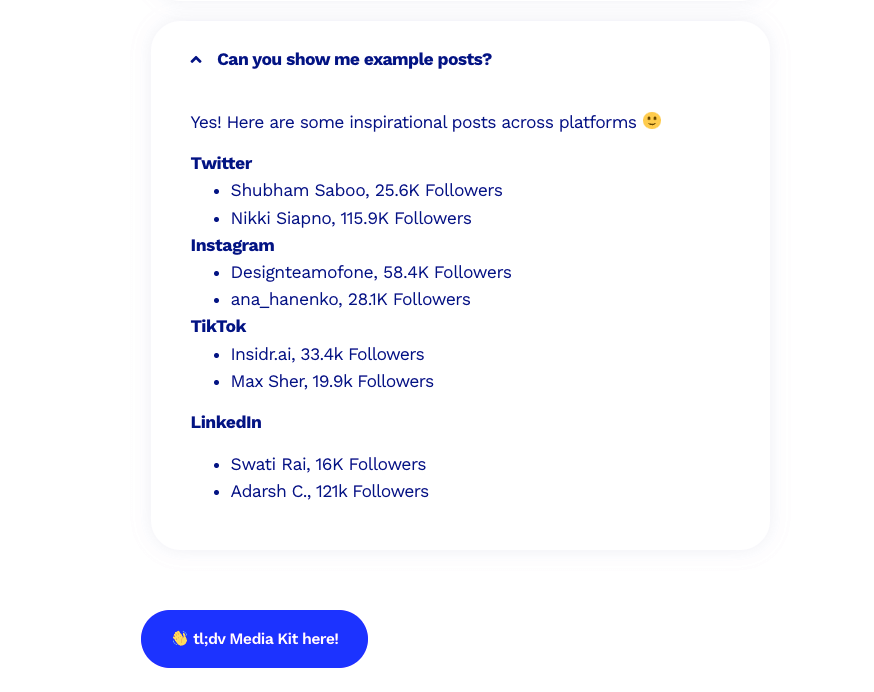 Image showing example posts of influencers and the media kit of tldv